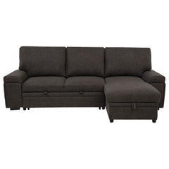 Demko Brown Sleeper Sectional Sofa with Speaker and Storage Chaise - Ornate Home