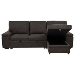 Demko Brown Sleeper Sectional Sofa with Speaker and Storage Chaise - Ornate Home