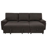 Demko Brown Sleeper Sectional Sofa with Speaker and Storage Chaise - Ornate Home