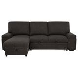 Demko Brown Sleeper Sectional Sofa with Speaker and Storage Chaise - Ornate Home