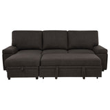 Demko Brown Sleeper Sectional Sofa with Speaker and Storage Chaise - Ornate Home