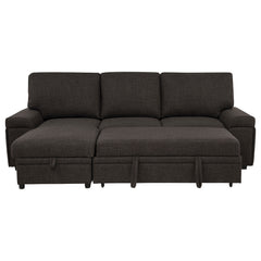 Demko Brown Sleeper Sectional Sofa with Speaker and Storage Chaise - Ornate Home