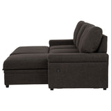 Demko Brown Sleeper Sectional Sofa with Speaker and Storage Chaise - Ornate Home
