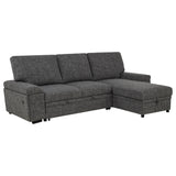 Demko Granite Sleeper Sectional Sofa with Speaker and Storage Chaise - Ornate Home