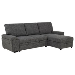Demko Granite Sleeper Sectional Sofa with Speaker and Storage Chaise - Ornate Home
