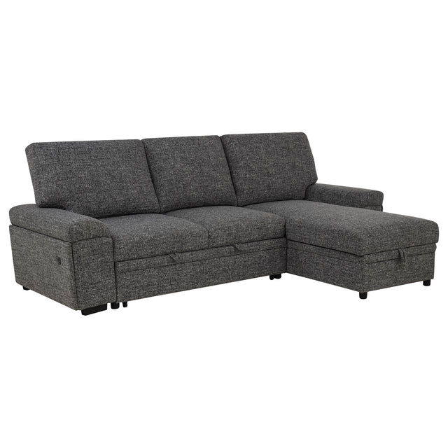 Demko Granite Sleeper Sectional Sofa with Speaker and Storage Chaise - Ornate Home