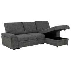 Demko Granite Sleeper Sectional Sofa with Speaker and Storage Chaise - Ornate Home