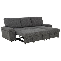 Demko Granite Sleeper Sectional Sofa with Speaker and Storage Chaise - Ornate Home