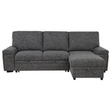 Demko Granite Sleeper Sectional Sofa with Speaker and Storage Chaise - Ornate Home