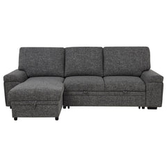 Demko Granite Sleeper Sectional Sofa with Speaker and Storage Chaise - Ornate Home