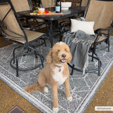 Diah Black & Bone Outdoor Area Rug - Clearance - Ornate Home