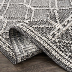 Diah Black & Bone Outdoor Area Rug - Clearance - Ornate Home