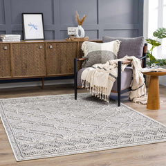 Diah Bone Outdoor Area Rug - Clearance - Ornate Home