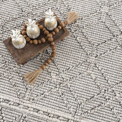 Diah Bone Outdoor Area Rug - Clearance - Ornate Home