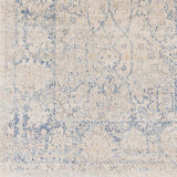 Dian Area Rug - Clearance - Ornate Home