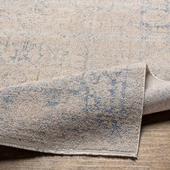 Dian Area Rug - Clearance - Ornate Home