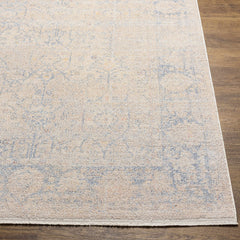 Dian Area Rug - Clearance - Ornate Home