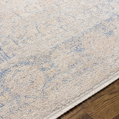 Dian Area Rug - Clearance - Ornate Home
