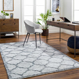 Dido Area Rug - Clearance - Ornate Home