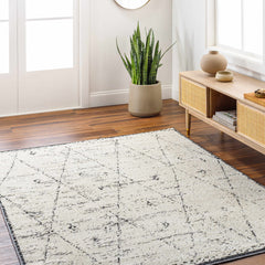 Dilay Area Rug - Clearance - Ornate Home