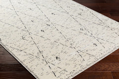 Dilay Area Rug - Clearance - Ornate Home