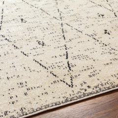Dilay Area Rug - Clearance - Ornate Home