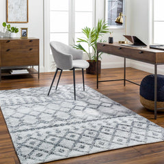 Dima Area Rug - Clearance - Ornate Home
