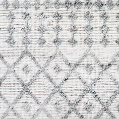 Dima Area Rug - Clearance - Ornate Home