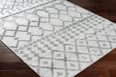 Dima Area Rug - Clearance - Ornate Home