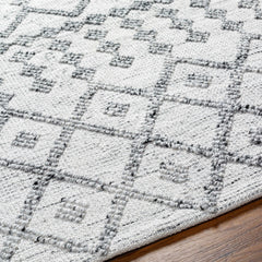 Dima Area Rug - Clearance - Ornate Home