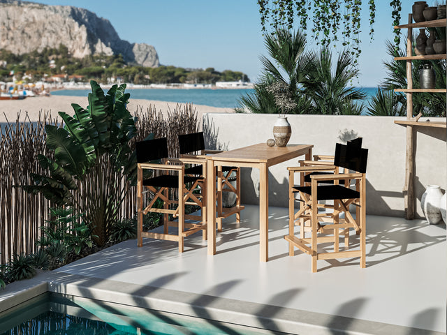 Director 5-Piece Rectangular Teak Black Outdoor Counter Height Dining Set with Folding Armchairs - Ornate Home