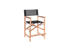 Director 5-Piece Rectangular Teak Black Outdoor Counter Height Dining Set with Folding Armchairs - Ornate Home
