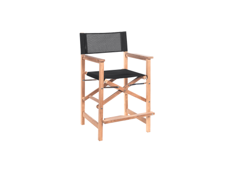 Director 5-Piece Rectangular Teak Black Outdoor Counter Height Dining Set with Folding Armchairs - Ornate Home