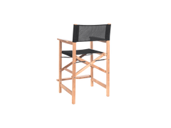 Director 5-Piece Rectangular Teak Black Outdoor Counter Height Dining Set with Folding Armchairs - Ornate Home