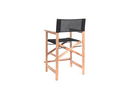 Director 5-Piece Rectangular Teak Black Outdoor Counter Height Dining Set with Folding Armchairs - Ornate Home