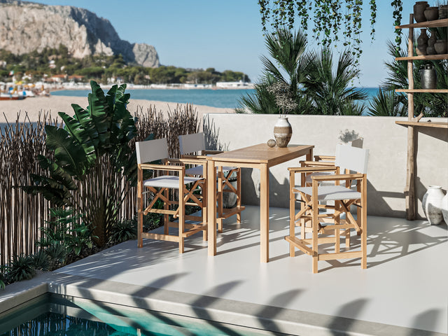 Director 5-Piece Rectangular Teak White Outdoor Counter Height Dining Set with Folding Armchairs - Ornate Home