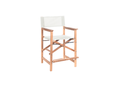 Director 5-Piece Rectangular Teak White Outdoor Counter Height Dining Set with Folding Armchairs - Ornate Home