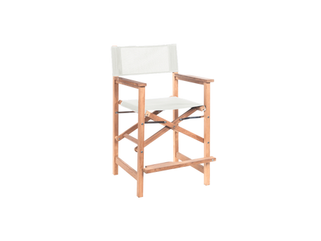 Director 5-Piece Rectangular Teak White Outdoor Counter Height Dining Set with Folding Armchairs - Ornate Home