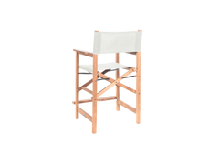 Director 5-Piece Rectangular Teak White Outdoor Counter Height Dining Set with Folding Armchairs - Ornate Home