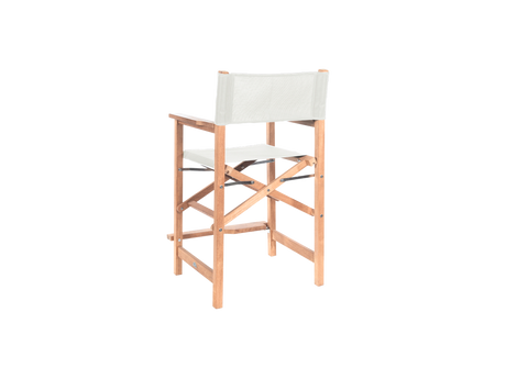 Director 5-Piece Rectangular Teak White Outdoor Counter Height Dining Set with Folding Armchairs - Ornate Home