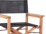 Director Teak Black Outdoor Dining Folding Armchair - Ornate Home