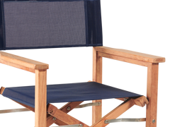 Director Teak Blue Outdoor Dining Folding Armchair - Ornate Home