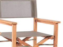 Director Teak Taupe Outdoor Dining Folding Armchair - Ornate Home