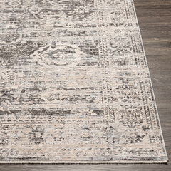 Divisoria Area Rug - Clearance - Ornate Home