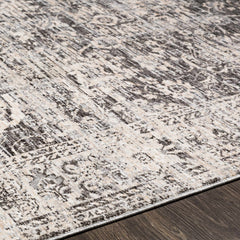 Divisoria Area Rug - Clearance - Ornate Home