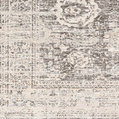 Divisoria Area Rug - Clearance - Ornate Home
