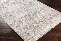 Divisoria Area Rug - Clearance - Ornate Home