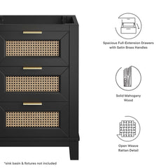 Dixie Black 24" Solid Wood Bathroom Vanity Cabinet (Sink Basin Not Included) - Ornate Home