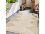 Djugun Beige Indoor & Outdoor Rug - Ornate Home