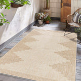 Djugun Beige Indoor & Outdoor Rug - Ornate Home
